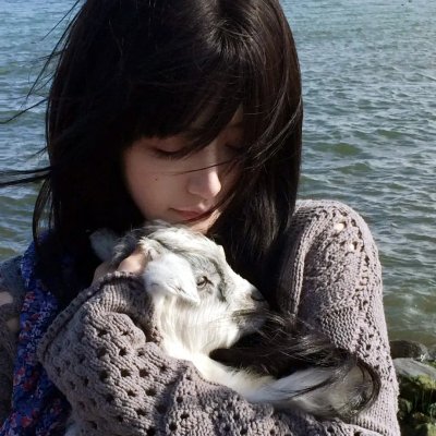 风流种子