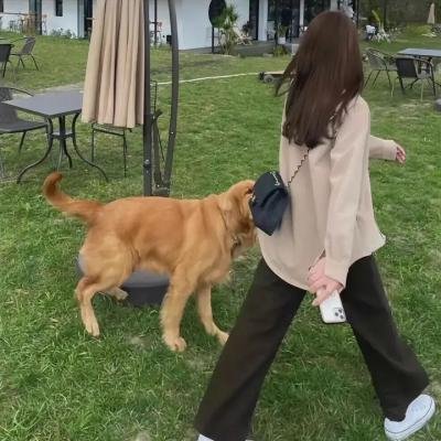 实诚中介